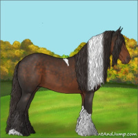 Horse Color:Liver Chestnut Tobiano 