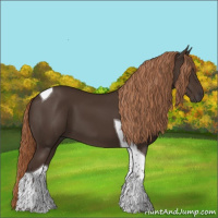 Horse Color:Liver Chestnut Tobiano 