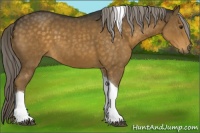 Horse Color:Chocolate Palomino Tobiano 