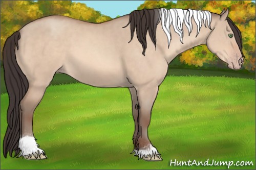 Horse Color:Sable Champagne Dun Tobiano 