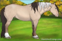 Horse Color:Sable Champagne Dun Tobiano 