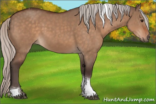 Horse Color:Silver Bay Dun Sabino Tobiano Rabicano 