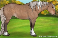 Horse Color:Silver Bay Dun Sabino Tobiano Rabicano