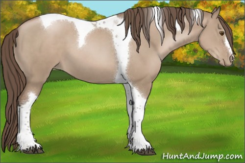 Horse Color:Grullo Pearl Tobiano 
