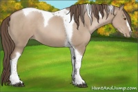 Horse Color:Grullo Pearl Tobiano 