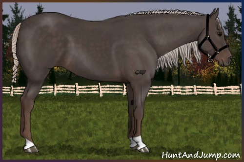 Horse Color:Silver Black 