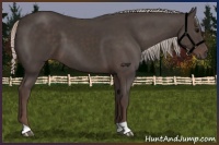 Horse Color:Silver Black 