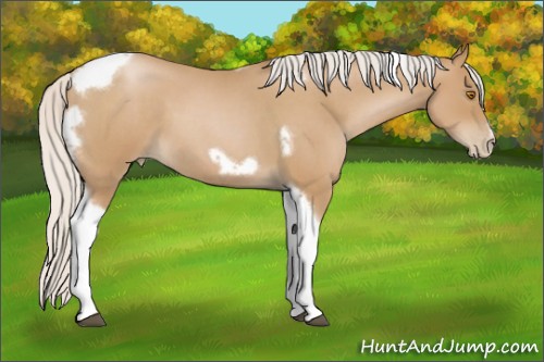 Horse Color:Silver Blue Roan Pearl Tobiano Frame 