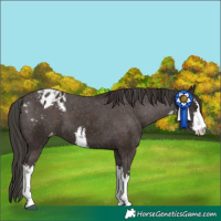Horse Color:White Spotted Liver Chestnut Varnish 
