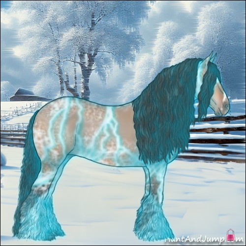 Horse Color:Thunderstruck Bay Ice Dun Sabino 