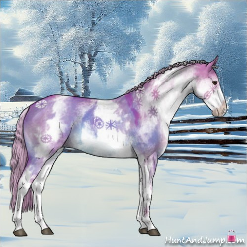 Horse Color:Watercolor White Spotted Liver Red Dun Rabicano 