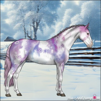 Horse Color:Watercolor White Spotted Liver Red Dun Rabicano 