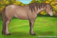 Horse Color:Black Pearl