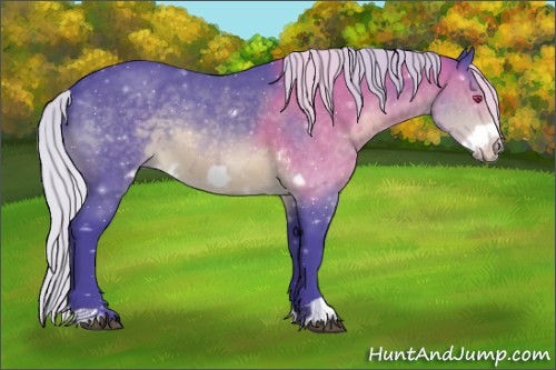 Horse Color:Watercolor White Spotted Silver Brown Chinchilla Frame 