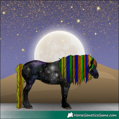 Horse Color:ERROR: UNKNOWN ANOMALY