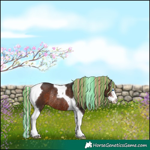 Horse Color:Painted Liver Chestnut Sabino Splash Tobiano Rabicano 