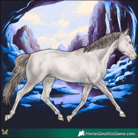 Horse Color:Platinum Chocolate Buckskin Pearl 