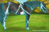 Horse Color:Thunderstruck Midnight Bay Ice Onyx Sabino Tobiano 
