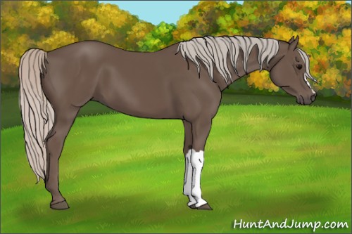 Horse Color:Silver Black 