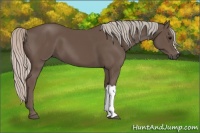 Horse Color:Silver Black 