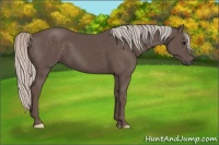 Horse Color:Silver Black 