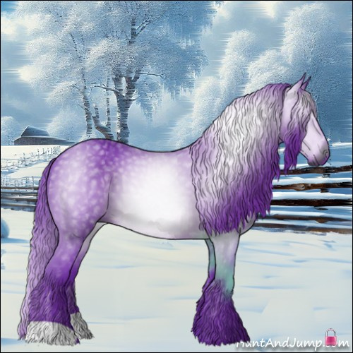 Horse Color:Gray Watercolor Black 