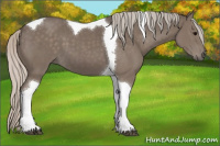 Horse Color:Silver Black Tobiano 