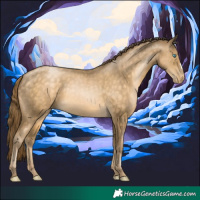 Horse Color:Chocolate Buckskin Pearl 