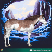 Horse Color:Platinum Chocolate Brown Splash 