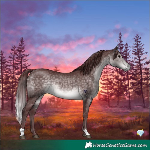 Horse Color:Platinum Chocolate Buckskin 