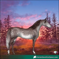 Horse Color:Platinum Chocolate Buckskin 