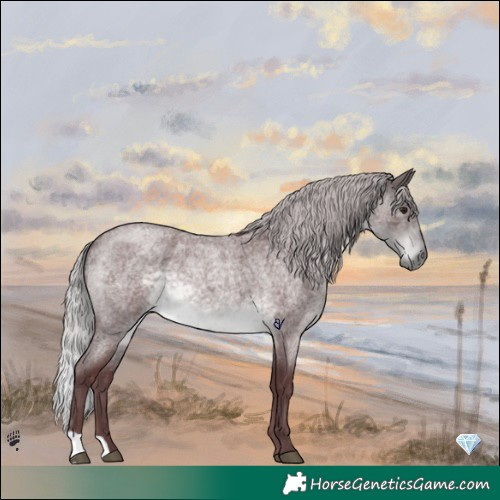 Horse Color:Platinum Chocolate Silver Buckskin Roan 