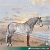 Horse Color:Platinum Chocolate Silver Buckskin Roan 