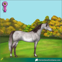 Horse Color:Platinum Chocolate Buckskin Roan 