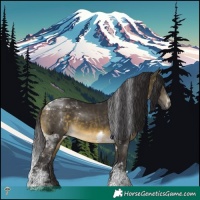 Horse Color:Buckskin Mushroom Tobiano Rabicano