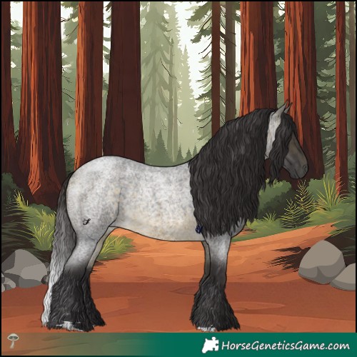 Horse Color:Buckskin Roan Mushroom Rabicano