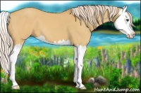 Horse Color:Palomino Dun Splash
