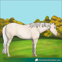 Horse Color:Silver Amber Cream Champagne Pearl 