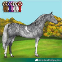 Horse Color:Silver Black Chinchilla Tobiano 