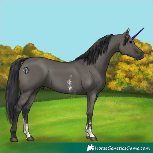 Horse Color:Grullo Sabino Rabicano 