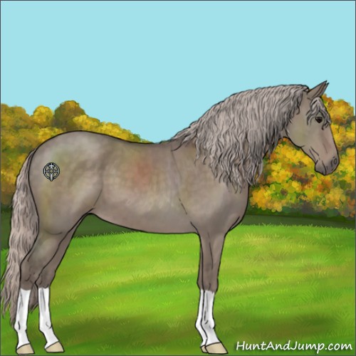 Horse Color:Silver Grullo 
