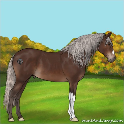 Horse Color:Silver Brown 