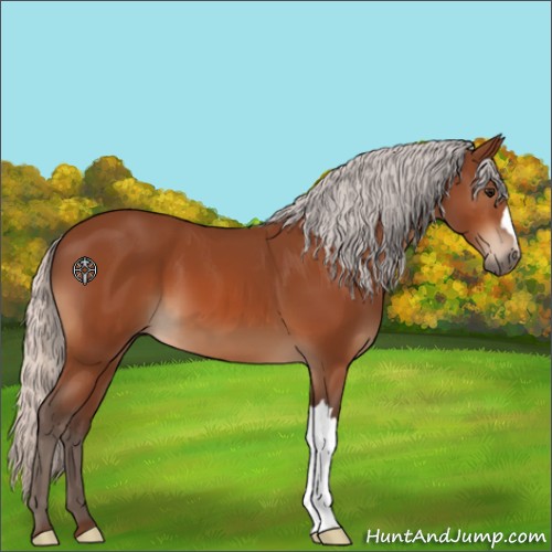Horse Color:Silver Bay