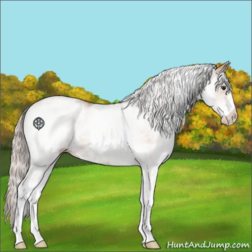 Horse Color:White Spotted Silver Brown Dun 