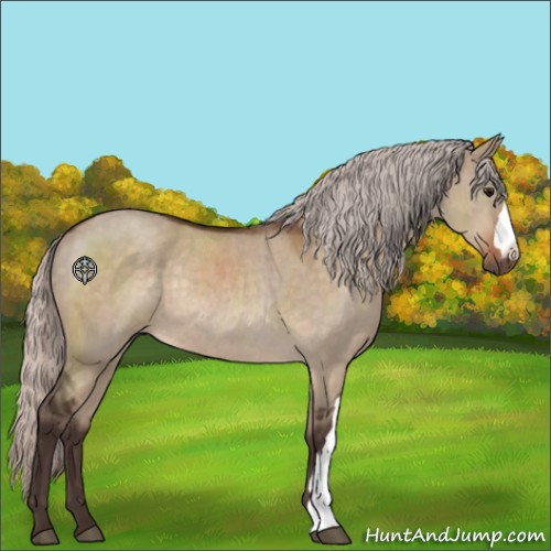 Horse Color:Silver Brown Dun Rabicano 