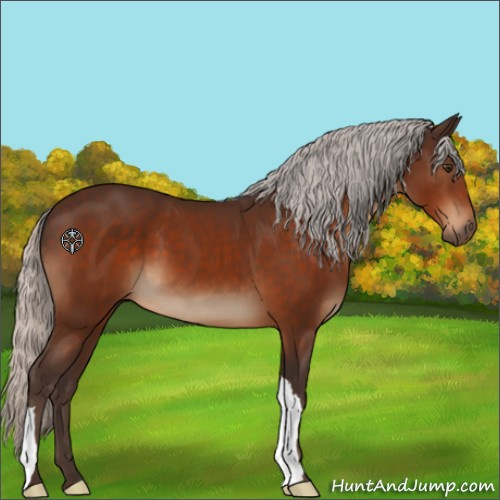 Horse Color:Silver Brown