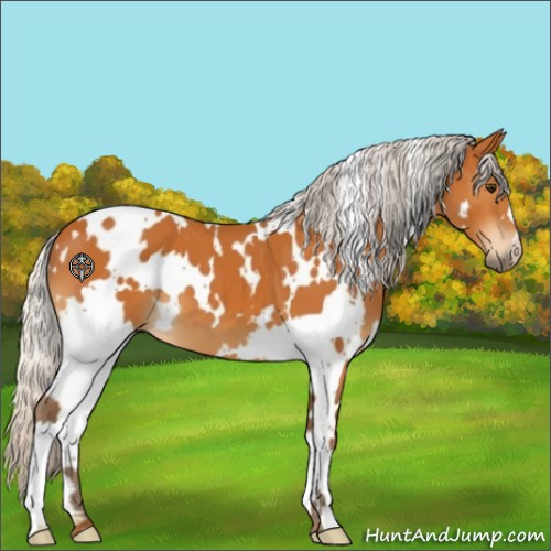 Horse Color:White Spotted Silver Buckskin