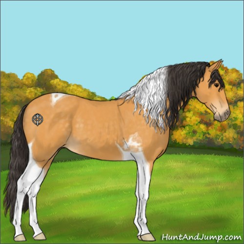 Horse Color:Buckskin Tobiano
