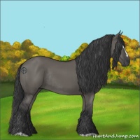 Horse Color:Grullo Sabino Rabicano 