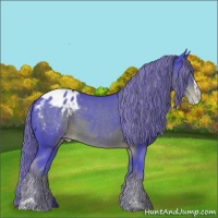 Horse Color:Painted Watercolor Liver Chestnut Sabino Varnish 